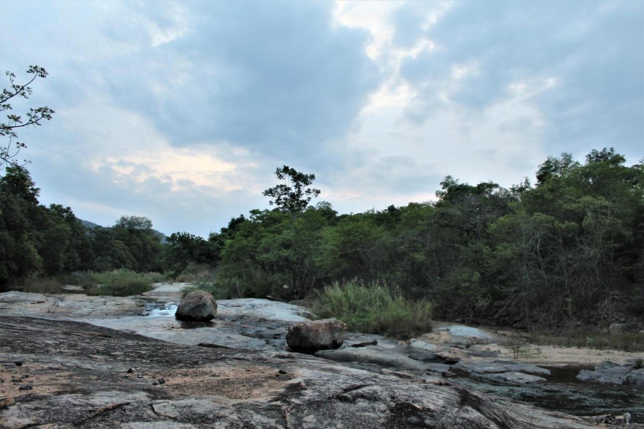 Lions Rock Rapids - Luxury Tented Camp Hazyview Luaran gambar