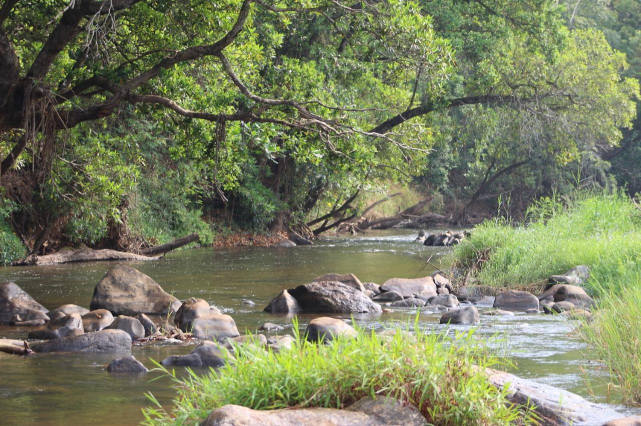 Lions Rock Rapids - Luxury Tented Camp Hazyview Luaran gambar