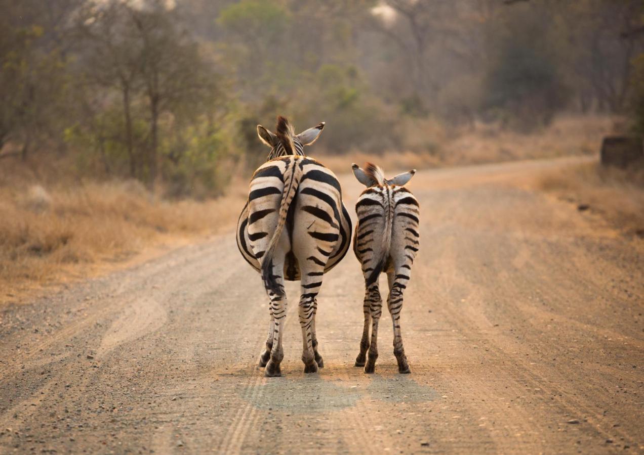 Lions Rock Rapids - Luxury Tented Camp Hazyview Luaran gambar
