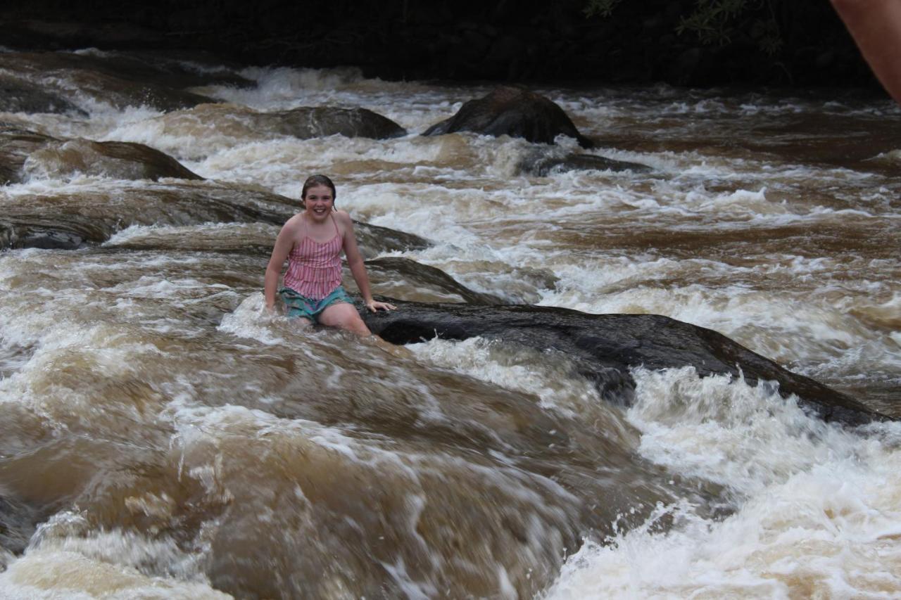 Lions Rock Rapids - Luxury Tented Camp Hazyview Luaran gambar